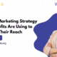 WeJob%20|%20Social%20Media%20Marketing%20and%20Management%20Agency